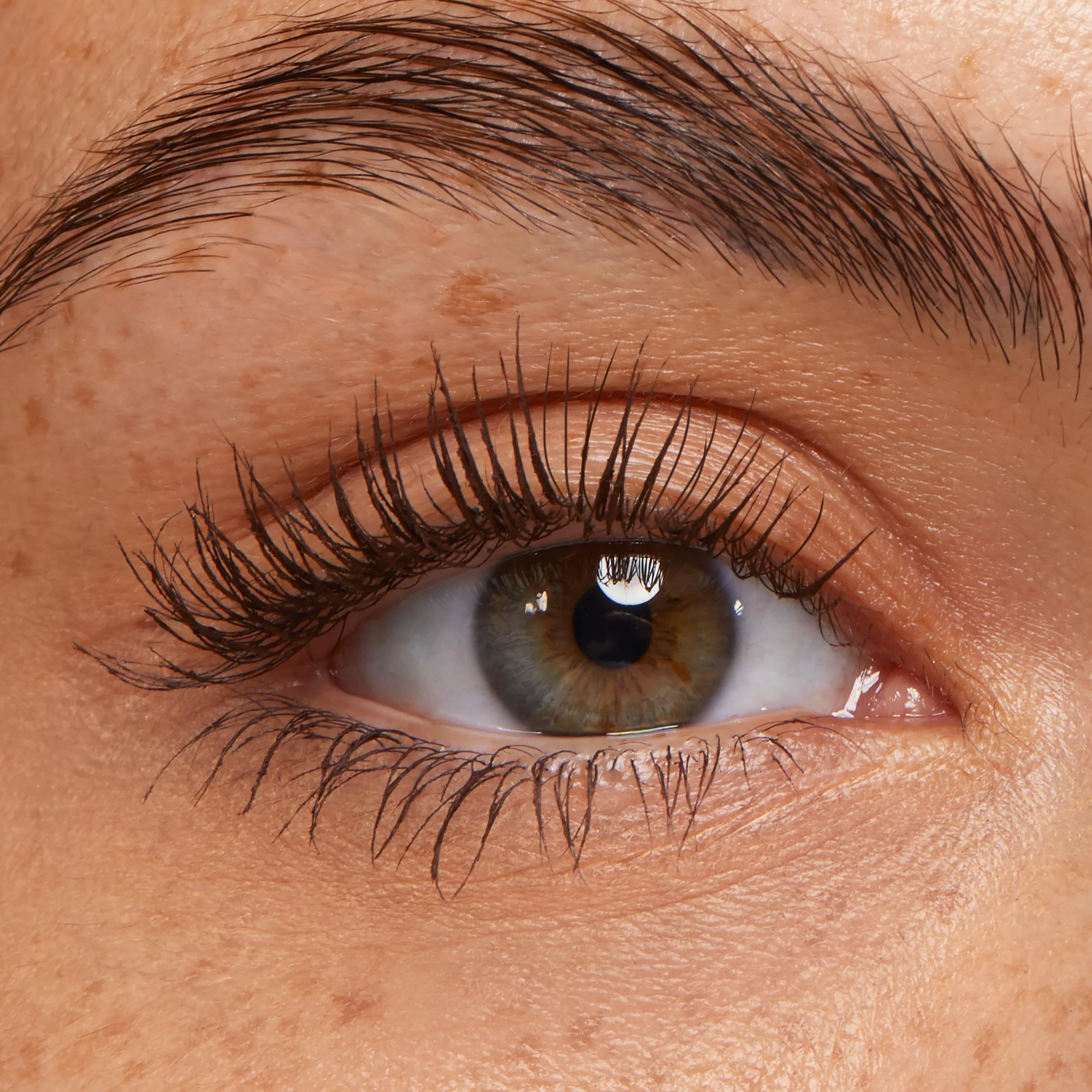 Brown - Image 3