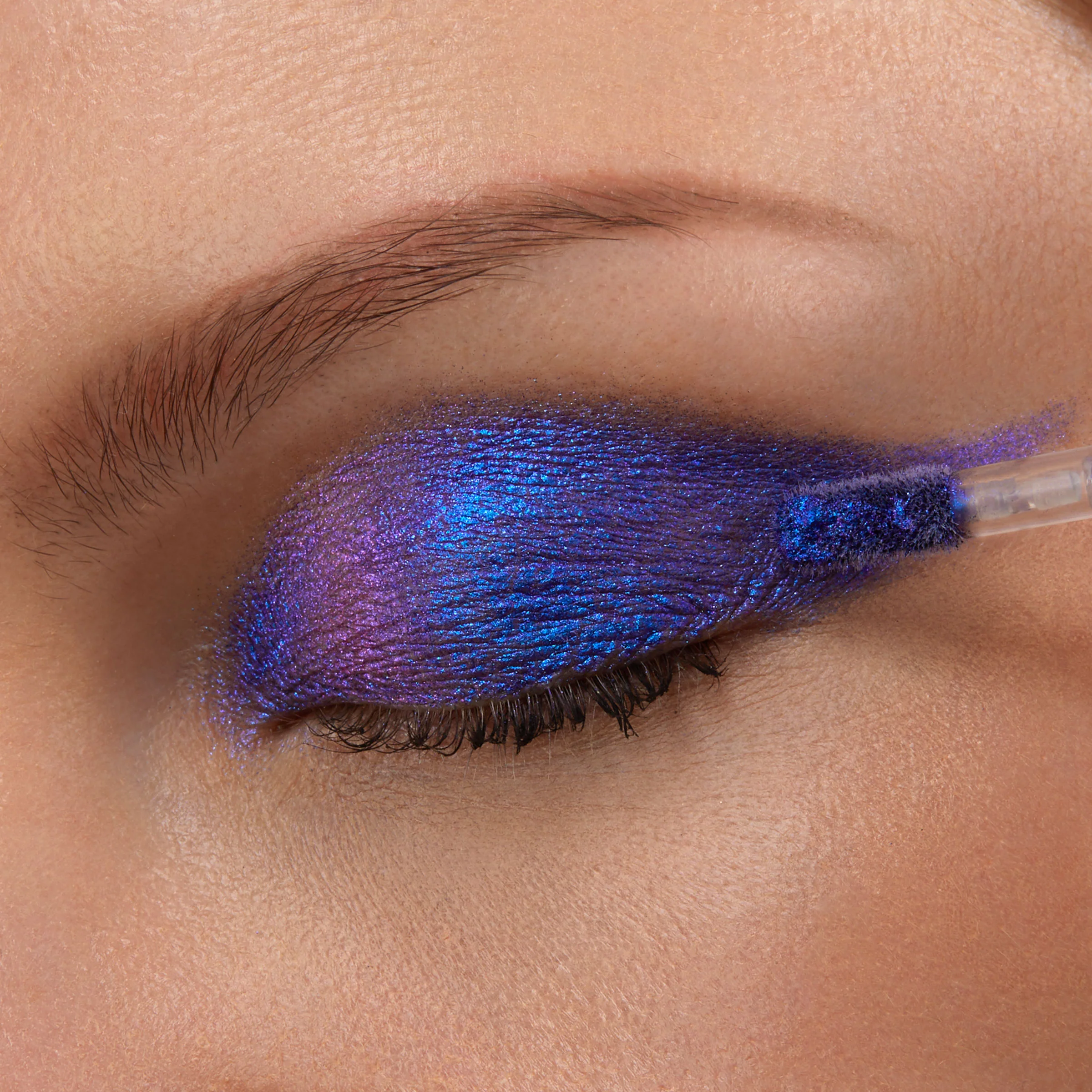 Morpho - Image 2