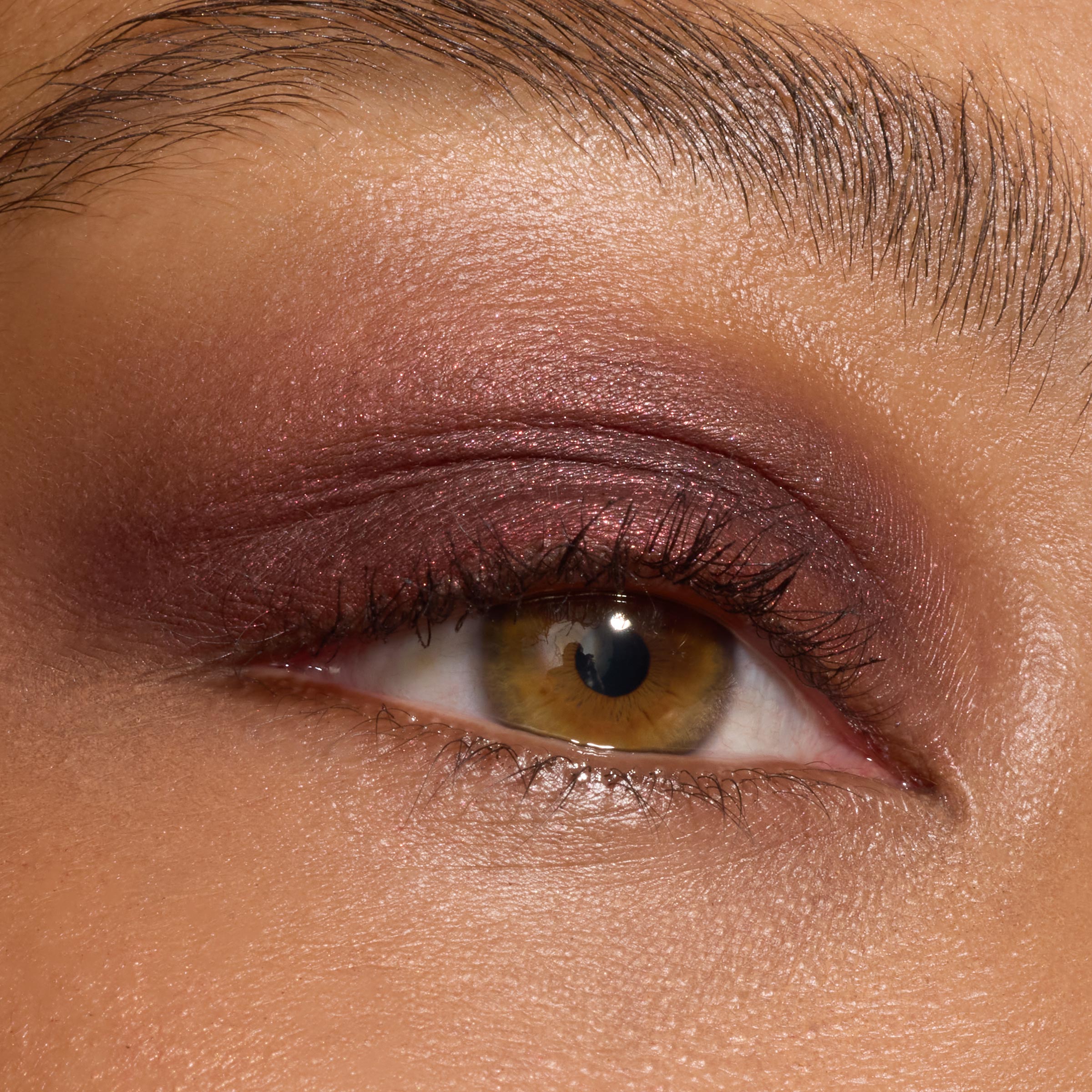 The Volturi - Image 4