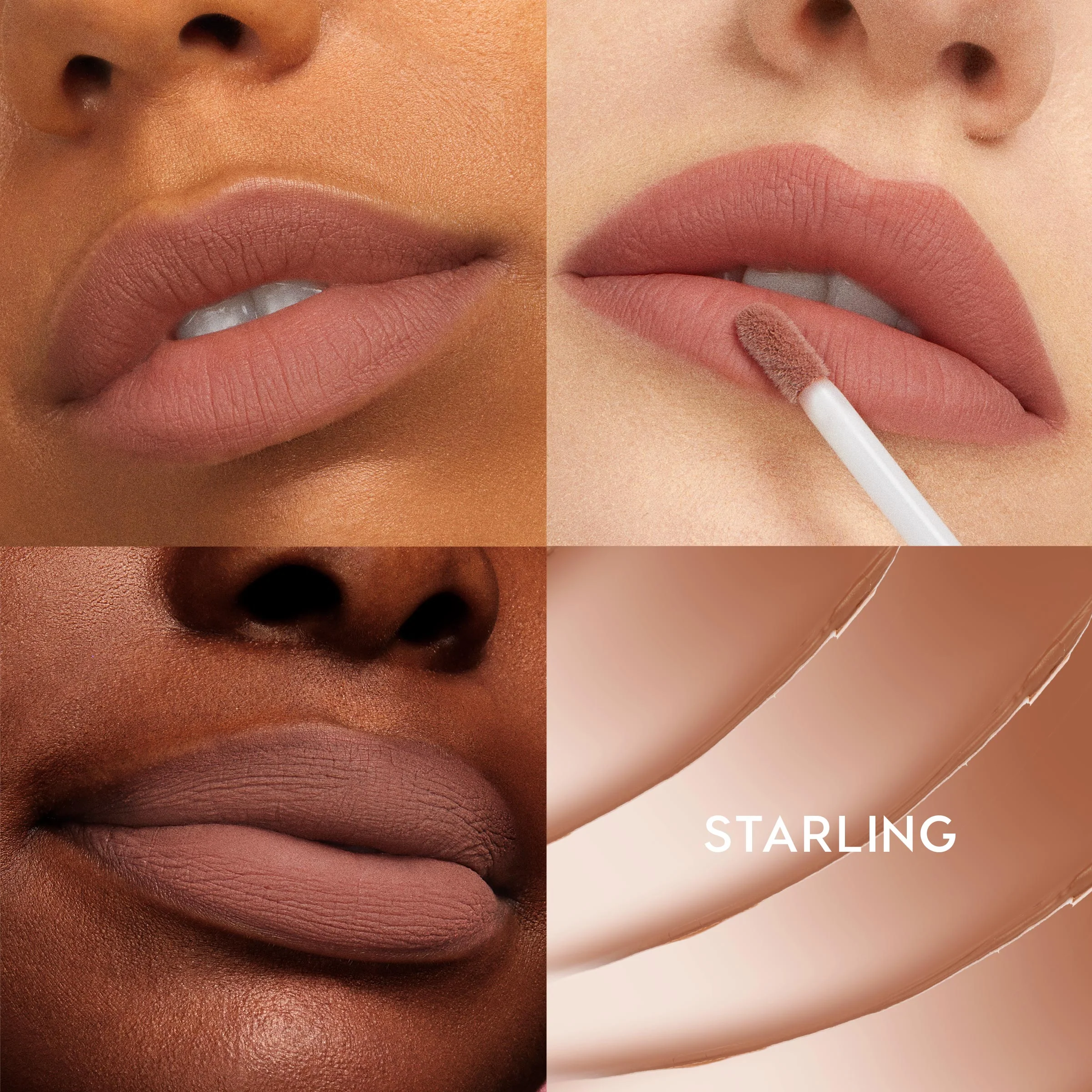 Starling - Image 2